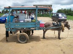 a donkey pulling a cart with food on it in the middle of a dirt road