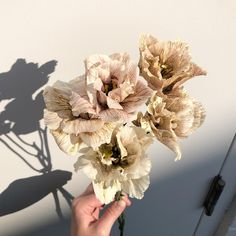 a person is holding some flowers in their hand and shadow on the wall behind them