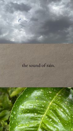 there is a green leaf with the words the sound of rain on it