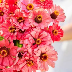 a bouquet of pink flowers in a vase