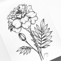 a black and white drawing of a flower on top of a piece of paper with leaves