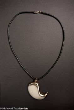 Harpy Eagle, Mens Jewellery, Tooth Necklace