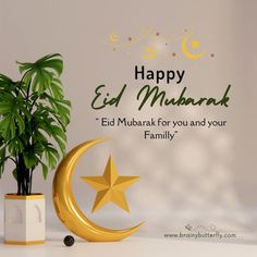 Eid Mubarak Sms, Eid Greetings, eid mubarak greetings. happy eid Mubarak, eid ul fitr Mubarak, eid wishes eid mubarak wishes eid mubarak quotes, eid Mubarak messages, eid images, eid pictures, eid mubarak pictures, eid mubarak images, eid messages, chand raat Mubarak, eid quotes. Vishu Greetings, Happy Eid Wishes, Best Eid Mubarak Wishes, Eid Al Adha Wishes, Happy Eid Mubarak Wishes, Eid Mubarak Wishes Images, Eid Poetry, Eid Mubark, Happy Birthday Wishes Messages