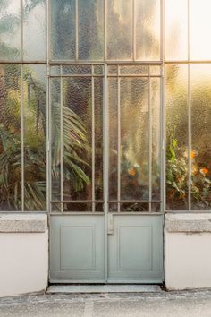 the cat is sitting on the window sill looking out at the plants behind it