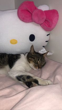 a cat laying on top of a bed next to a hello kitty stuffed animal toy