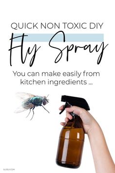 a hand holding a bottle with a fly spray on it and the words, quick non - toxic diy fly spray you can make easily from kitchen ingredients