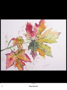 watercolor painting of two autumn leaves on white paper with red, yellow and green colors