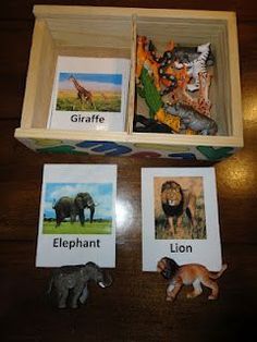 an open box with pictures of animals and their name cards in it on a wooden table