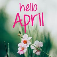 there is a pink and white flower with the words hello april on it