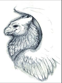 a pencil drawing of an eagle's head with wings spread out to the side