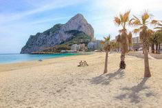 two palm trees on the beach with mountains in the background