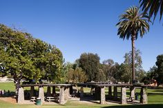 picnic tables and benches in the middle of a park with palm trees on either side