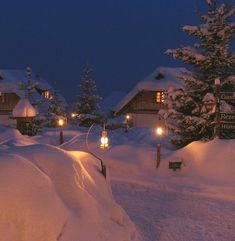 snow covered houses with lights in the middle at night, and trees on either side