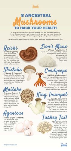 an info sheet with different types of mushrooms