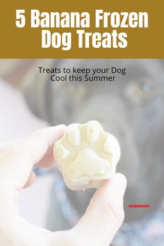 a person holding a dog treat in their hand with the title, 5 banana frozen dog treats