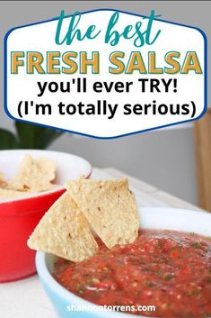 the best fresh salsa you'll ever try i'm totally serious