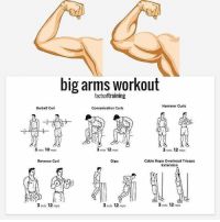 the arm workout chart shows how to do it and how to use it in order to gain