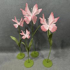 three pink flowers are sitting on green bases