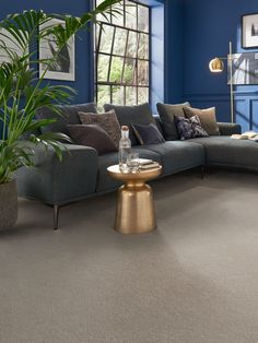 a living room with blue walls and carpeted flooring is pictured in this image