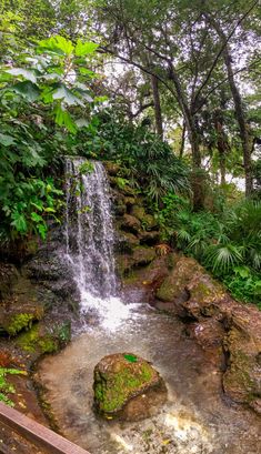 a small waterfall in the middle of a forest