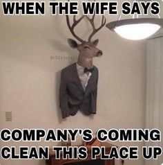 a deer head mounted to the wall above a tv in a living room with text that reads, when the wife says company's coming clean this place up