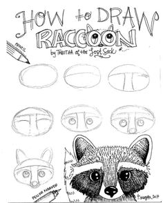 how to draw raccoon for kids and adults with instructions on how to draw it