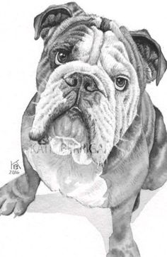 a black and white drawing of a dog