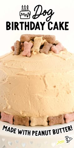 a birthday cake with frosting and dog biscuits on top is shown in front of a white background