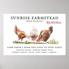 an advertisement for a farm with chickens and eggs on the grass, in front of a white background