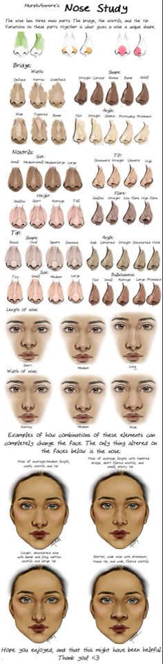 an info sheet showing the different types of hair and how they are used to dye