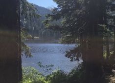 a lake surrounded by trees in the woods