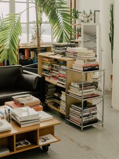 a living room filled with lots of books and furniture next to a plant in a window