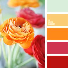 an orange and red color scheme with flowers