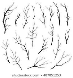 black and white silhouettes of tree branches with no leaves on them, set of six