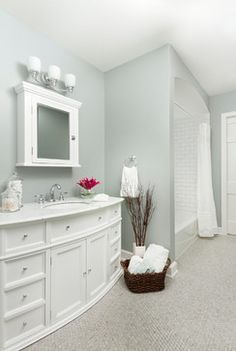 a large bathroom with white cabinets and gray carpeted flooring is pictured in this image