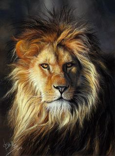 a painting of a lion with long hair