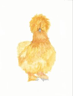 a watercolor painting of a yellow chicken