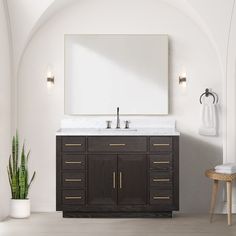 a bathroom with a large mirror above the sink and a plant in front of it