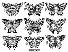 the different types of moths and their faces are drawn in black ink on white paper