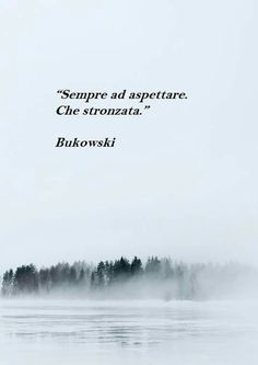 a foggy lake with trees in the background and a quote from bukowski