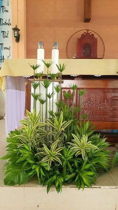 there is a plant in front of the alter