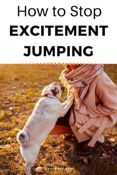 a dog is playing with its owner in the grass and text reads how to stop excitement jumping