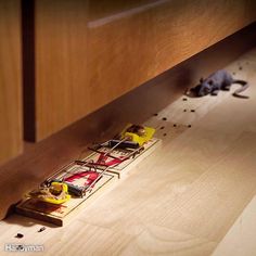 a mouse trap is on the floor in front of a kitchen cabinet with mice crawling around it