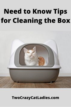 a cat sitting in a litter box with the words need to know tips for cleaning the box