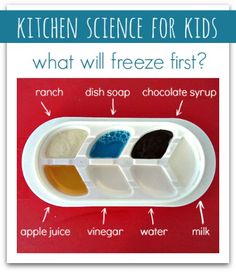 the kitchen science for kids what will freeze first?