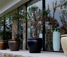 three large vases sitting on the side of a stone wall next to trees and bushes