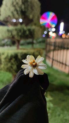 a person's hand holding a flower in front of a ferris wheel at night