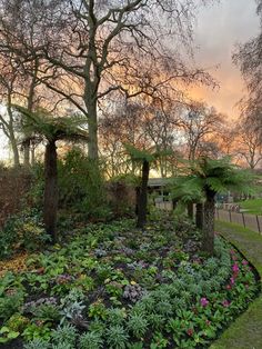 a circular garden with trees and flowers in the foreground, at sunset or dawn