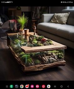 a glass table with plants and rocks in it on top of a wooden floor next to a couch