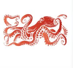 an orange octopus on a white background